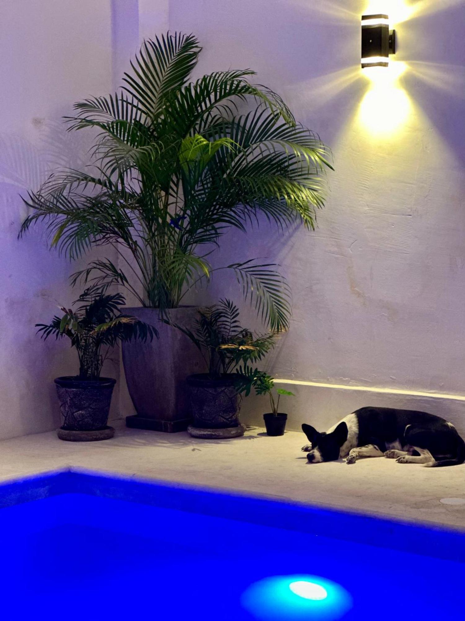 Hotel Casa Prisca Coyuca de Benitez 외부 사진